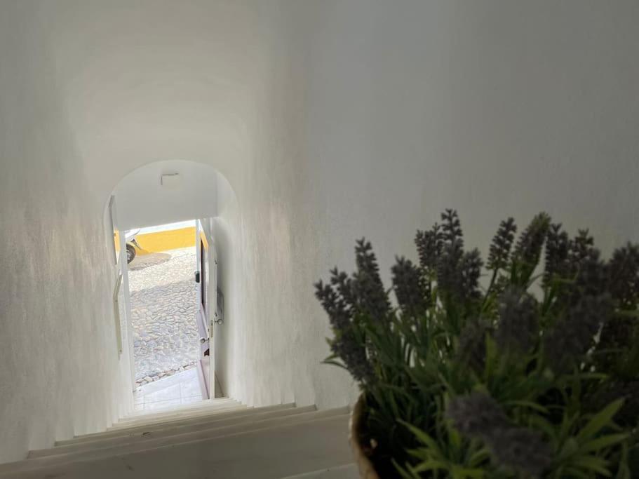Appartement Casa Da Oliveira à Évora Extérieur photo